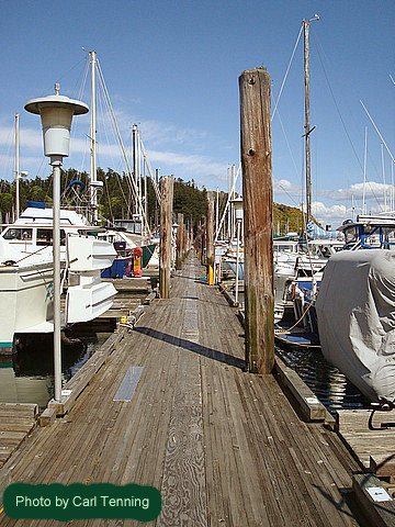 Anacortes Cap Sante Boat Haven