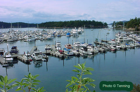 Roche Harbor Marina