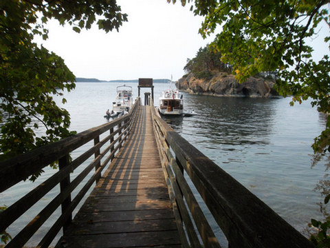 Anacortes to Matia Island