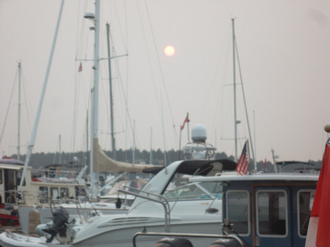 In Roche Harbor