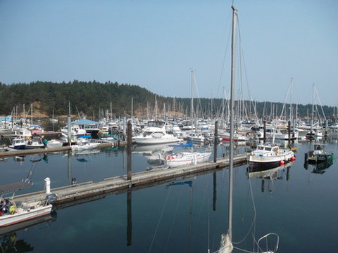 >Fossil Bay to Friday Harbor
